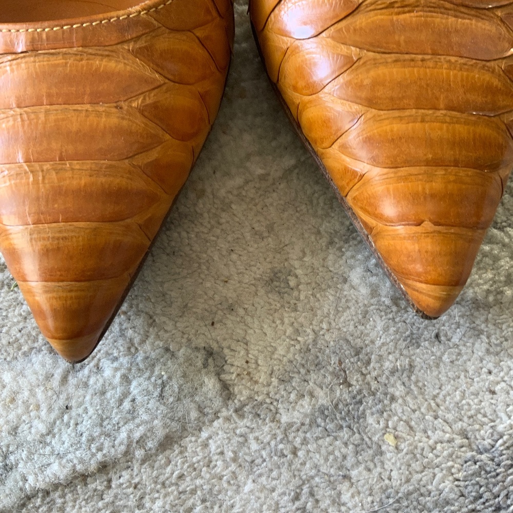 Sergio Rossi,Gorgeous Real Python Pumps - image 8